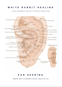 EAR SEED CHART.png