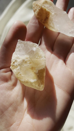 PEACH DREAMSICLE LEMURIAN POINT