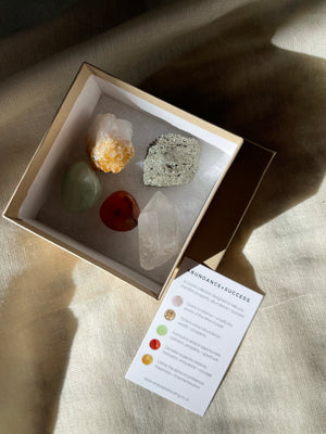 ABUNDANCE + SUCCESS CRYSTAL KIT